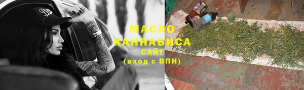 сатива Горняк