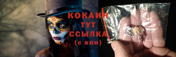 амф Вяземский