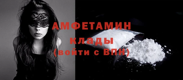сатива Горняк