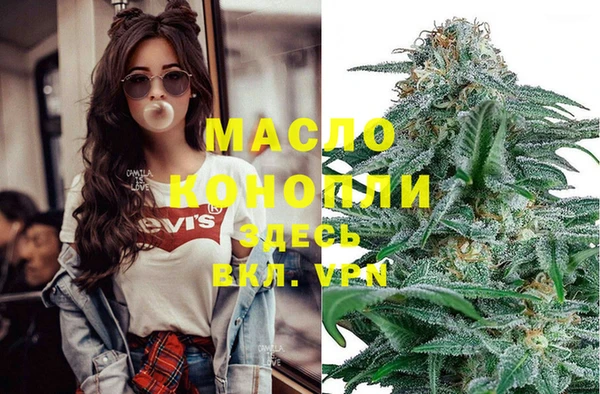 амф Вяземский