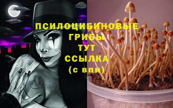 apvp Вязьма