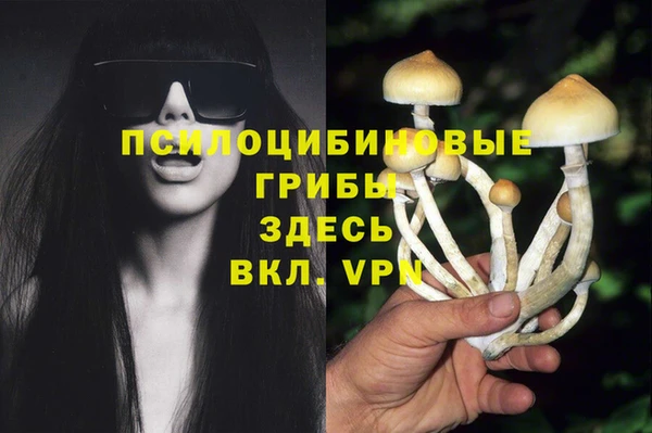 МДПВ Гусиноозёрск