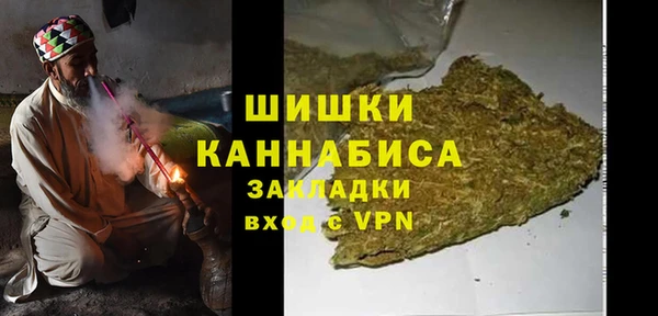 сатива Горняк