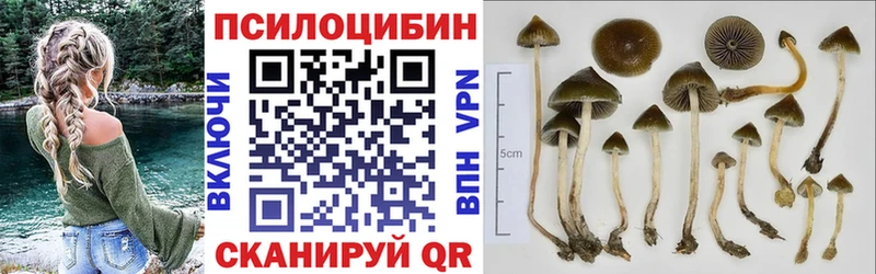 omg ссылки  Буйнакск  Псилоцибиновые грибы мухоморы 